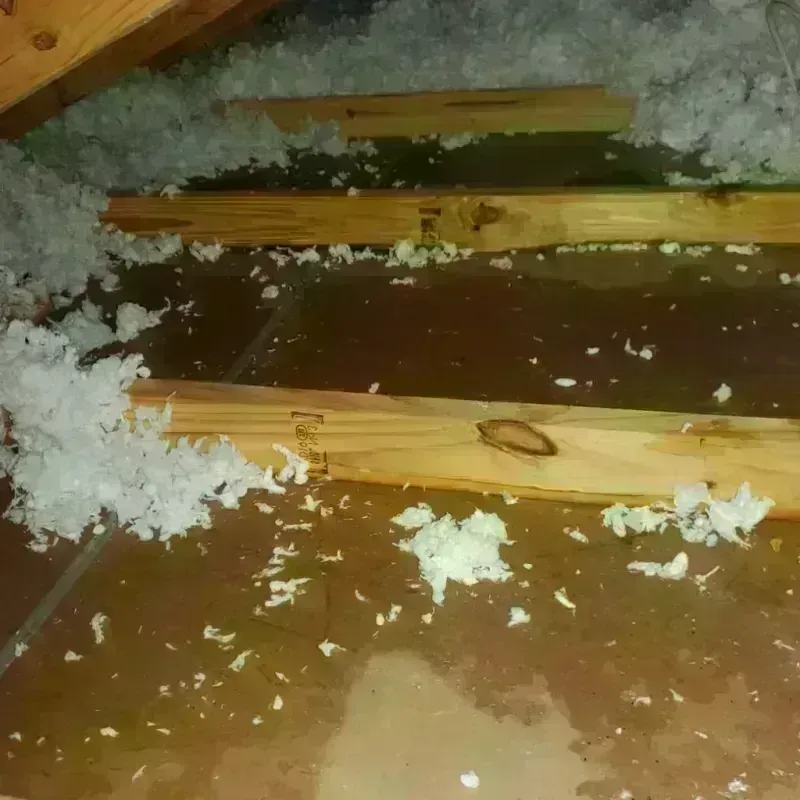 Attic Water Damage in Chalmette, LA