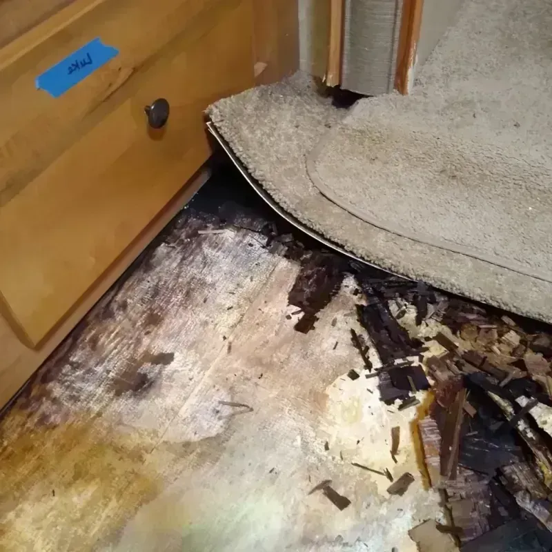 Wood Floor Water Damage in Chalmette, LA